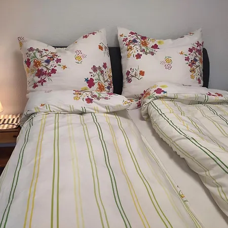 Apartment Drei Zi App Nahe Limbecker Platz Und Uni *